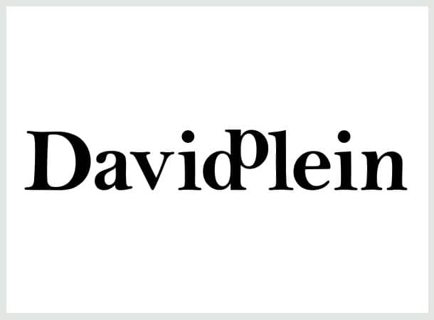 DavidPlein Logo
