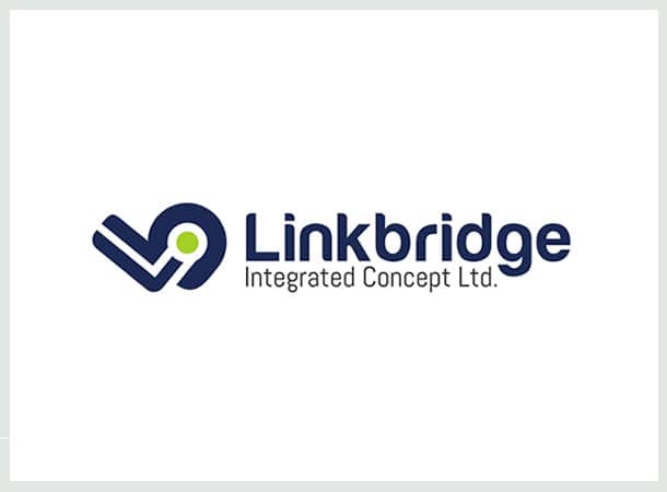 Linkbridge Integrated Services Logo